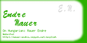 endre mauer business card